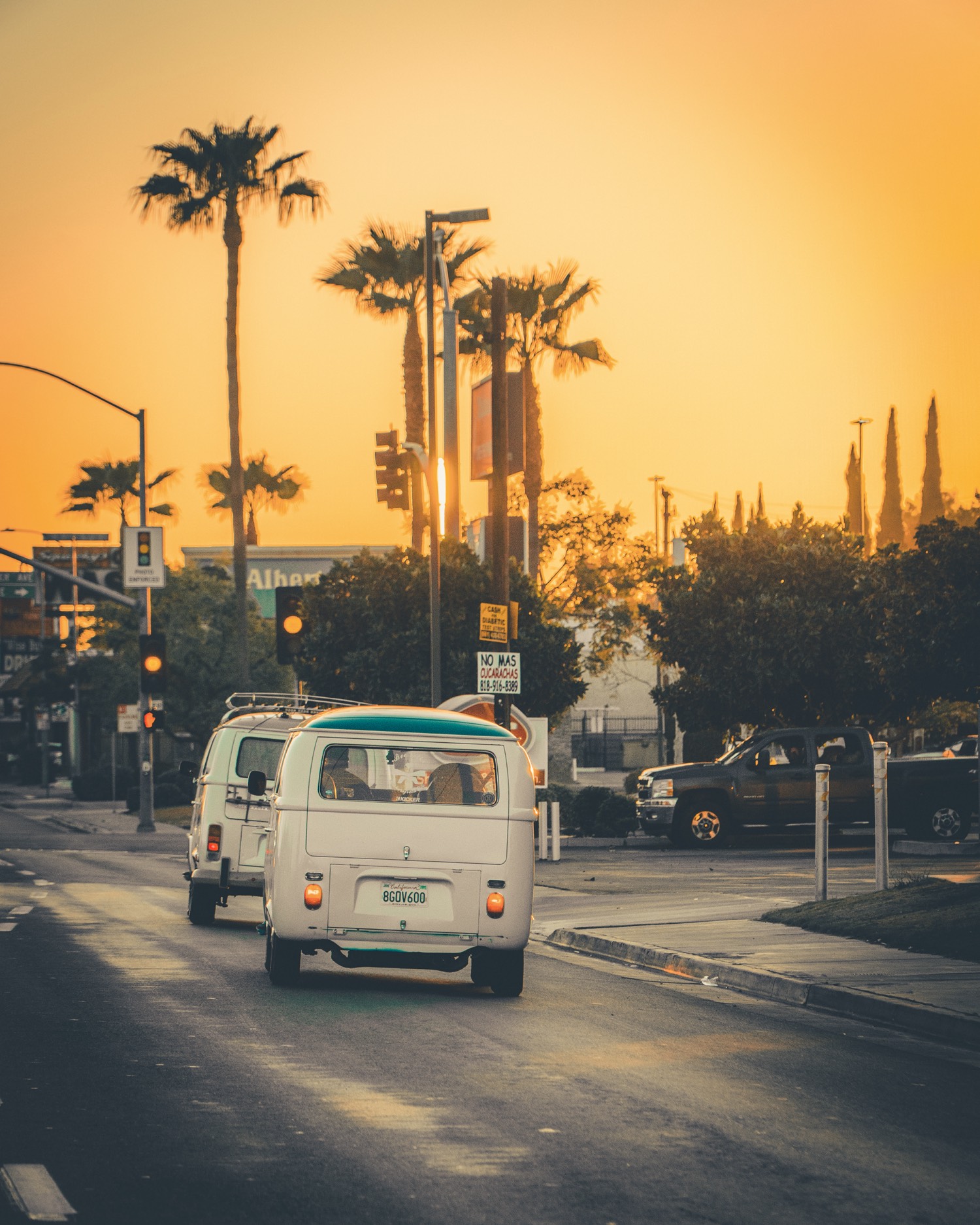 Two VW buses under a California sunset