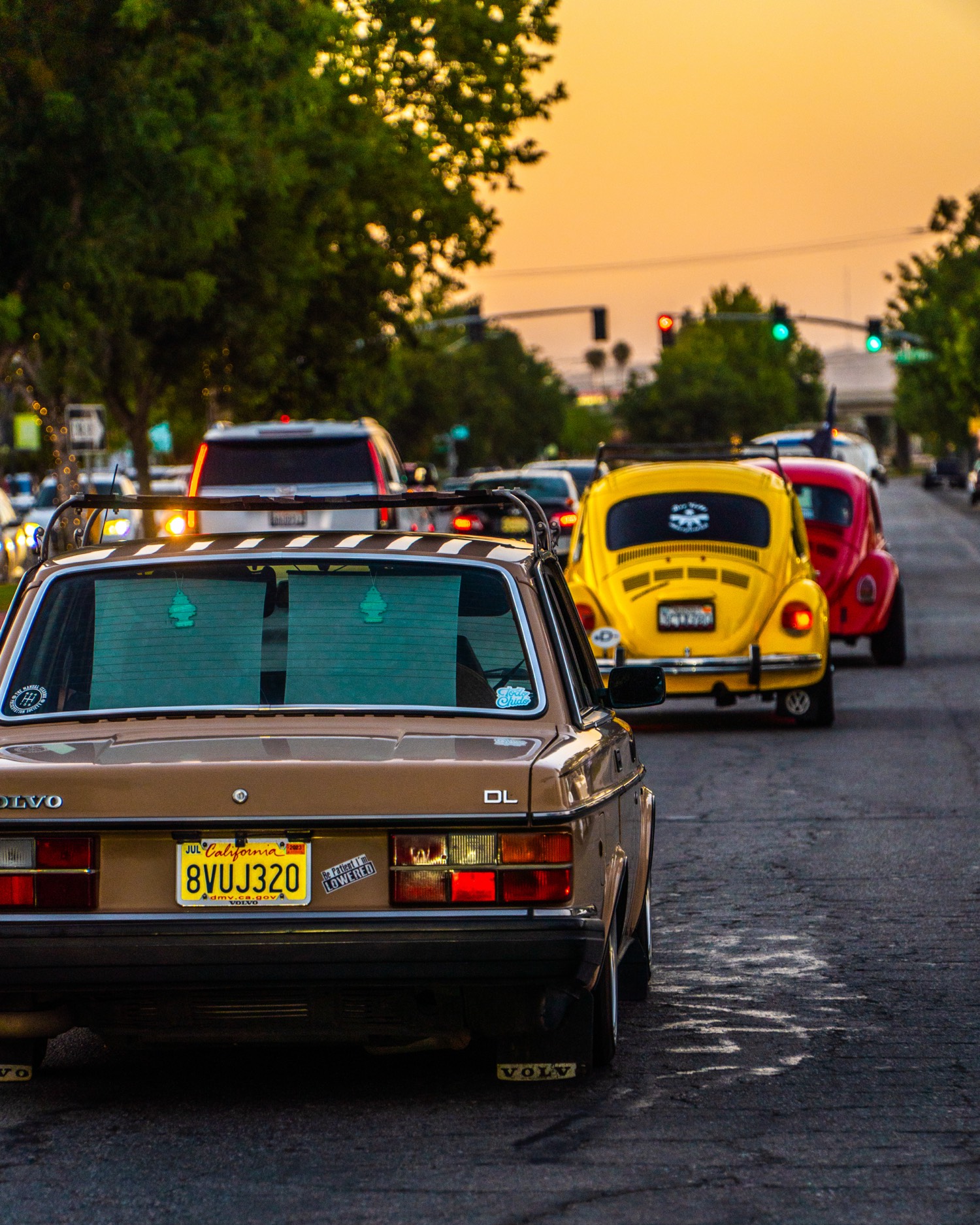 Volvo and Beetles at sunset