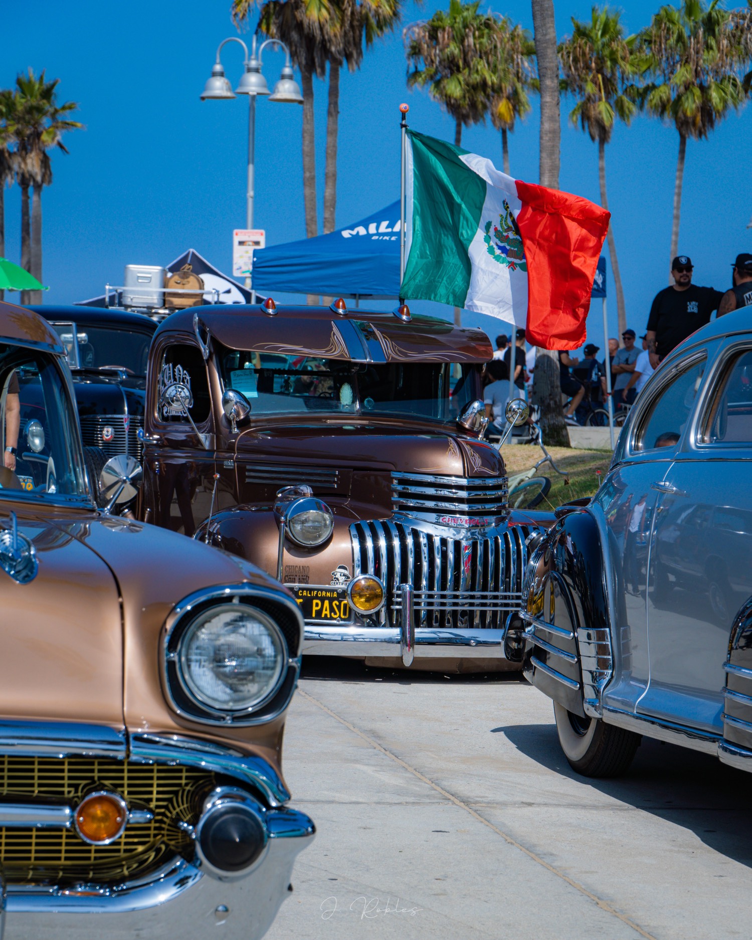 Classic Chevys lined up under palms